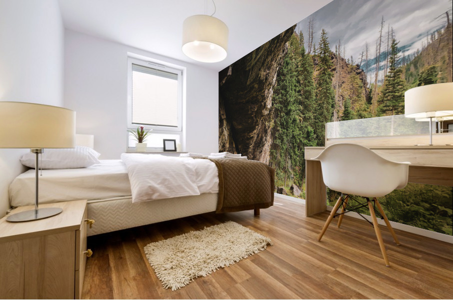 Rainbow Falls Mural print