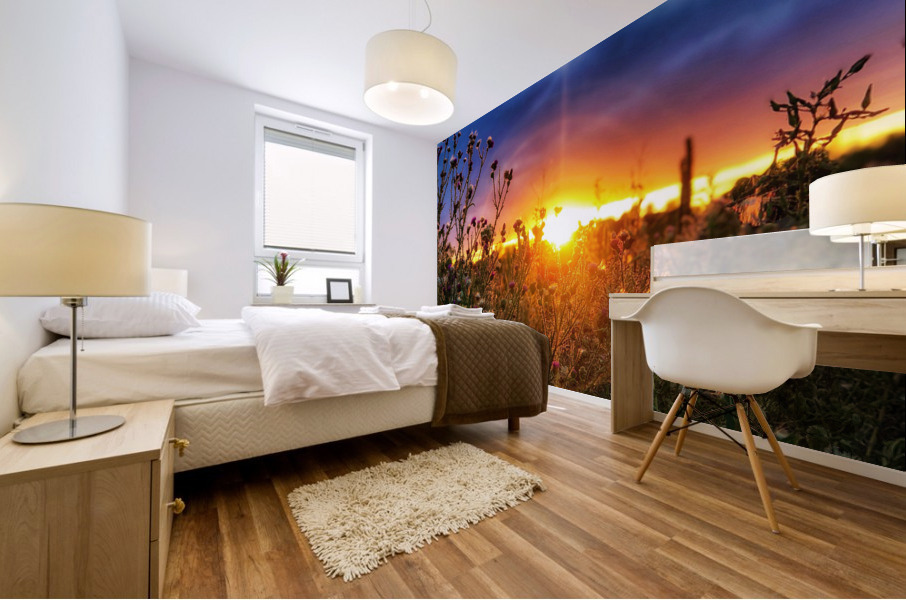 Sunset Horizon Mural print
