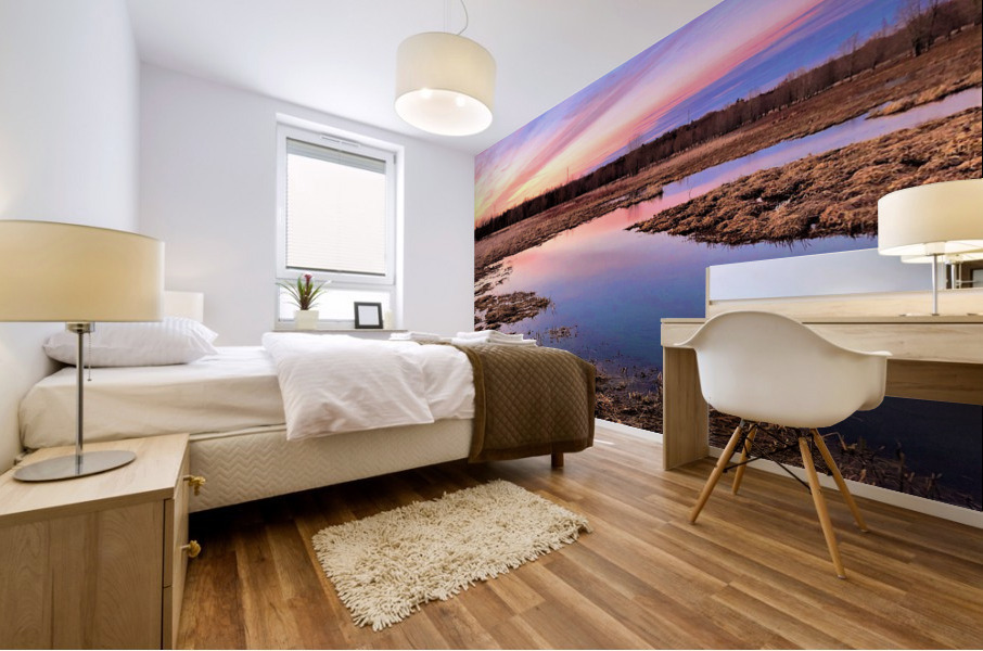 Sunset Skies Mural print