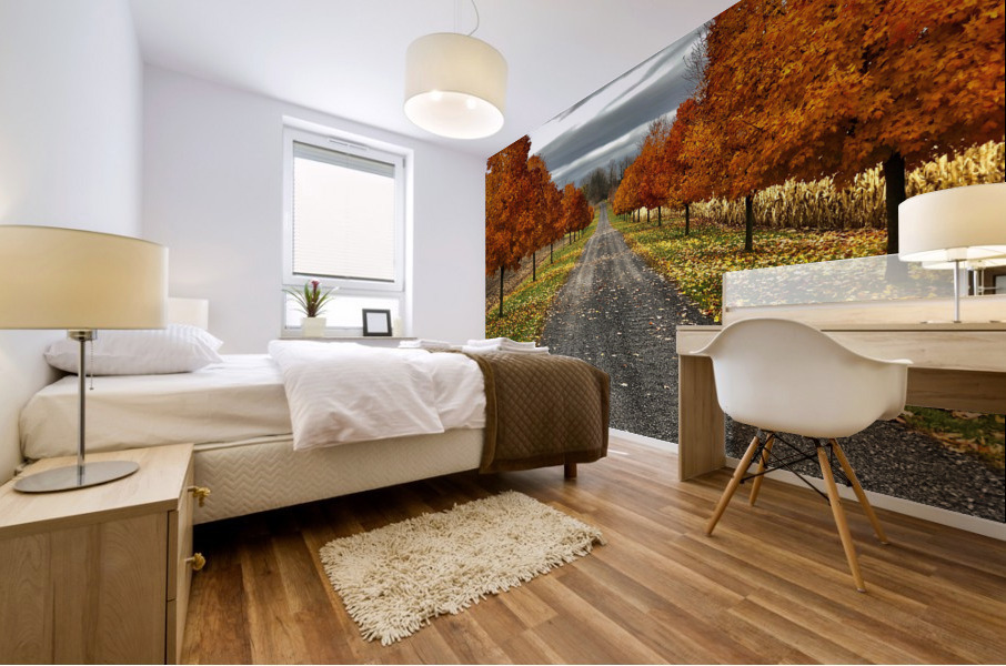 Fall Colours Mural print