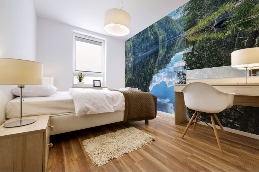 Canyon Reflection Mural print