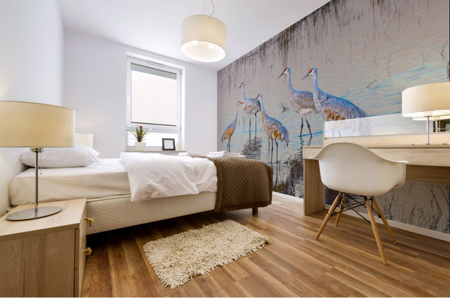 Sandhill Cranes at Sunrise Mural print