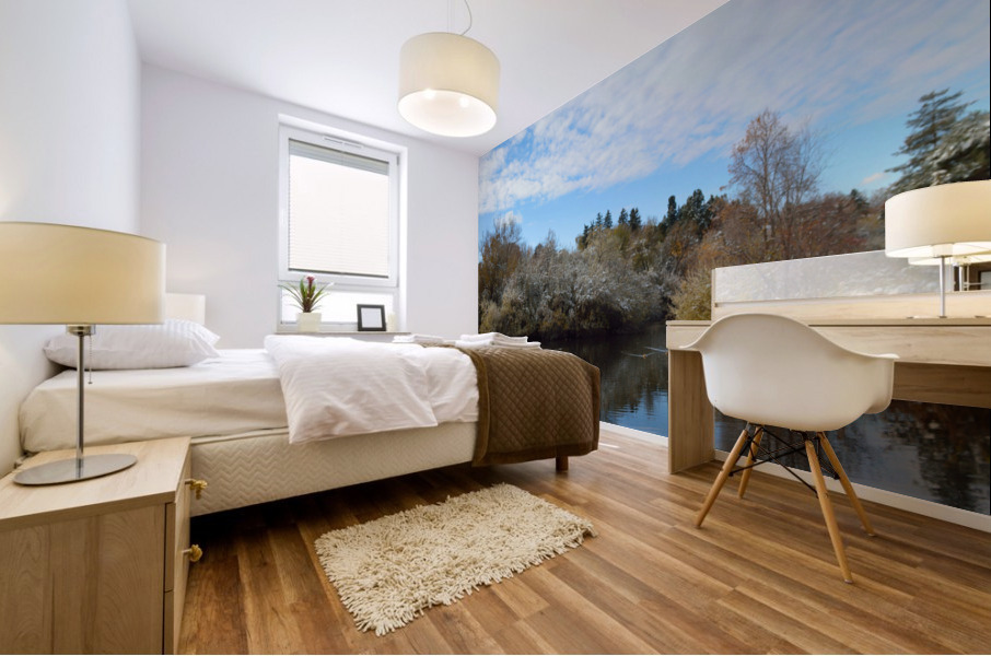 New Snow and Cloud Reflections Mural print