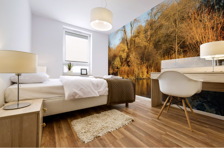 Warm and Cool - fall colors reflected on frozen pond Mural print