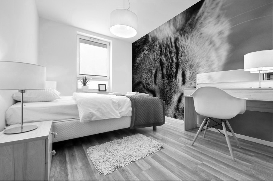 Close to the sunlight Mural print