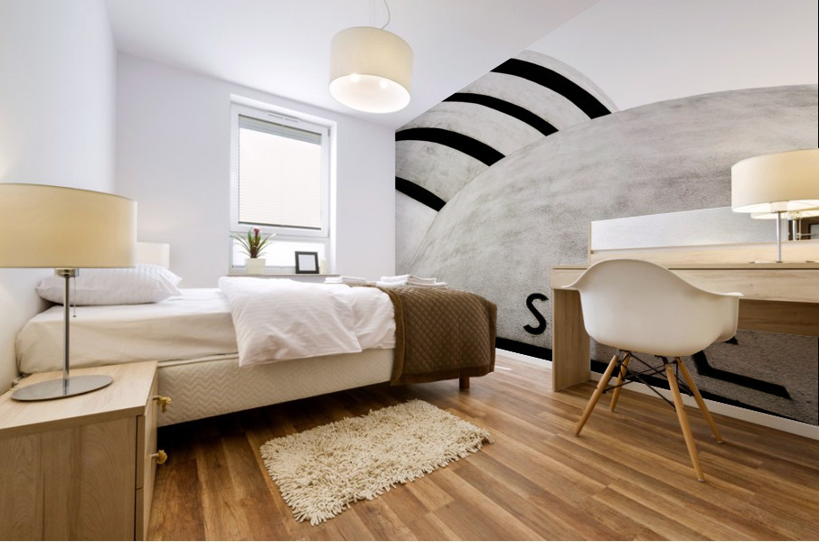 Muse_um Mural print
