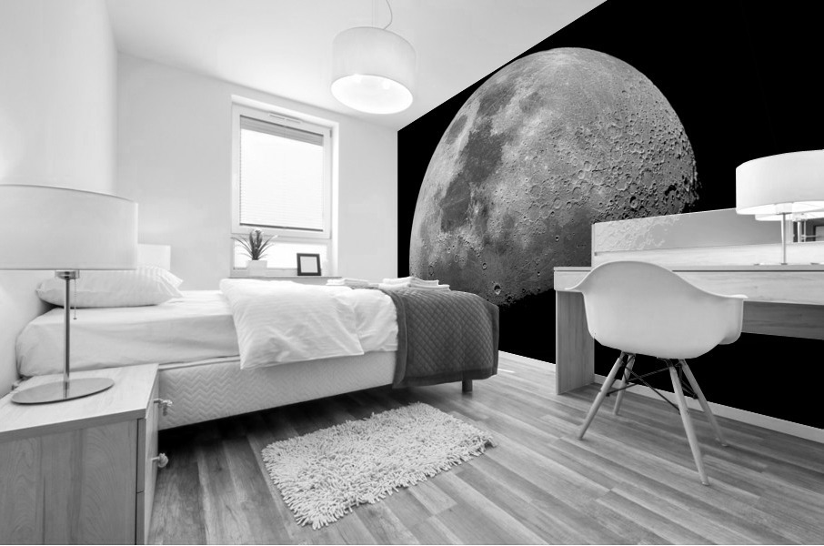 Oh Look At The Moon, She s Shining Up There Mural print