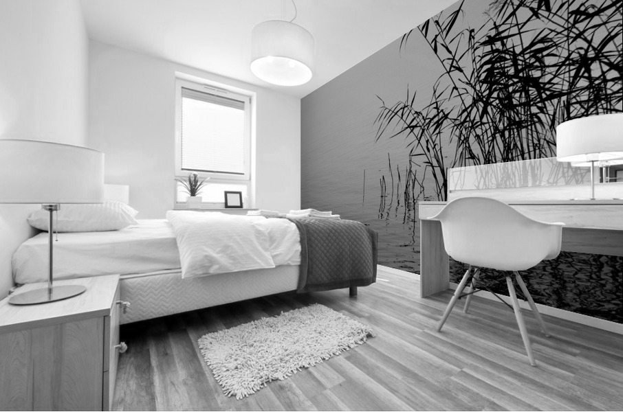 Mist over the lake 2021 Mural print