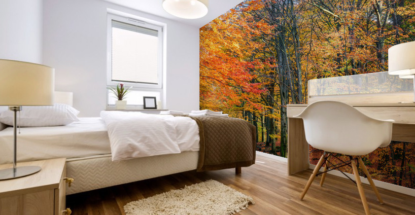 Road into autumn Mural print