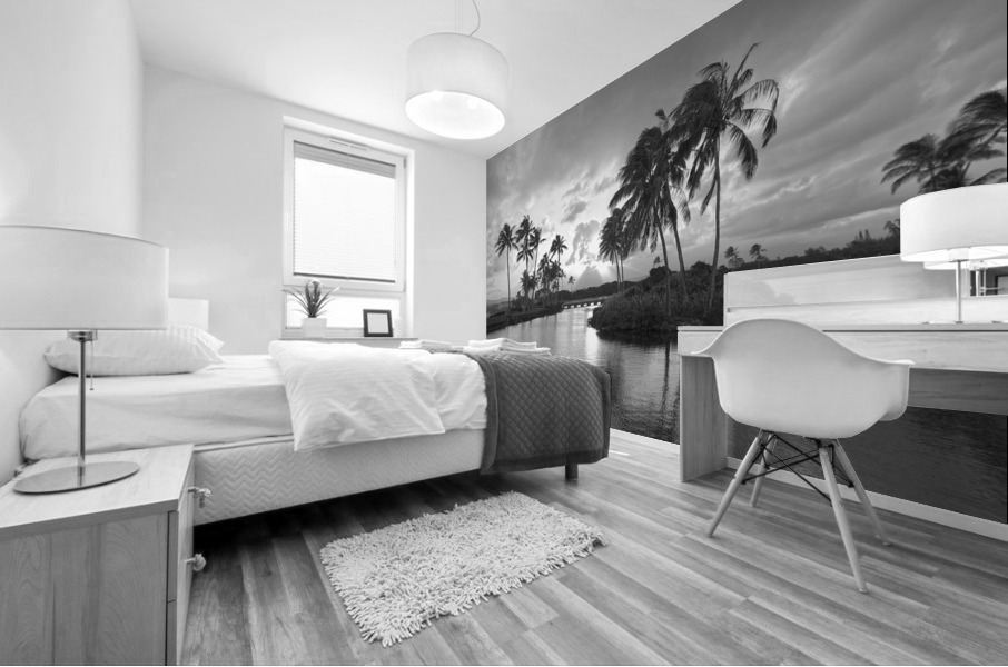 The Black and White Collection 115 for the Rare Masters Series Limited Patron Edition Printing of 50 Mural print