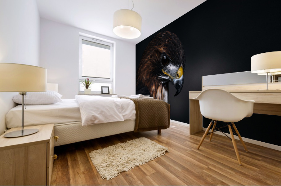 Mist On a Red Tailed Hawk Mural print