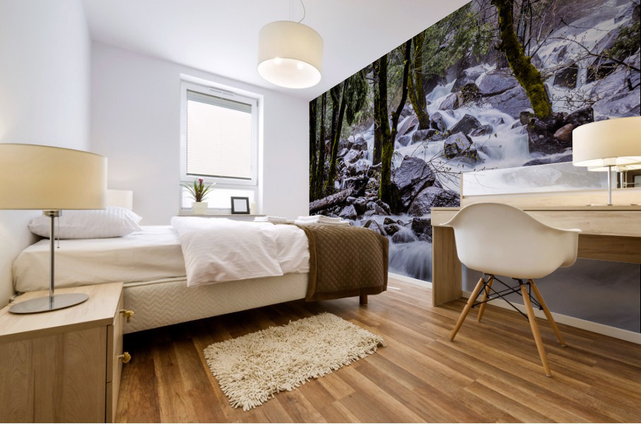 Bridalveil Roaring River Mural print