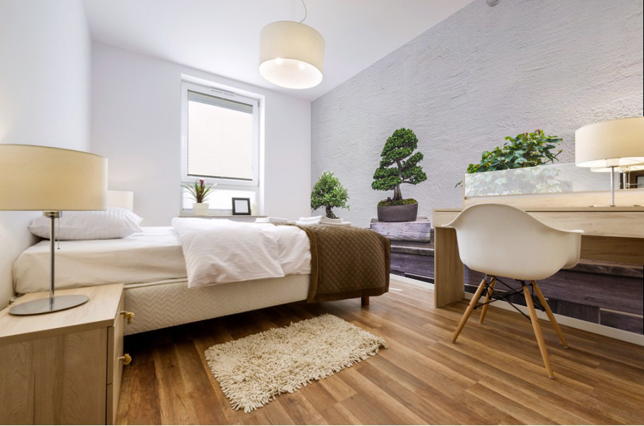 Display of Three Bonsai Trees Mural print