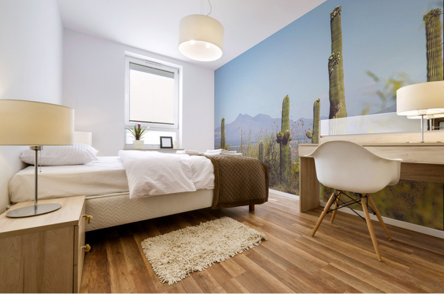 Saguaro National Park Mural print