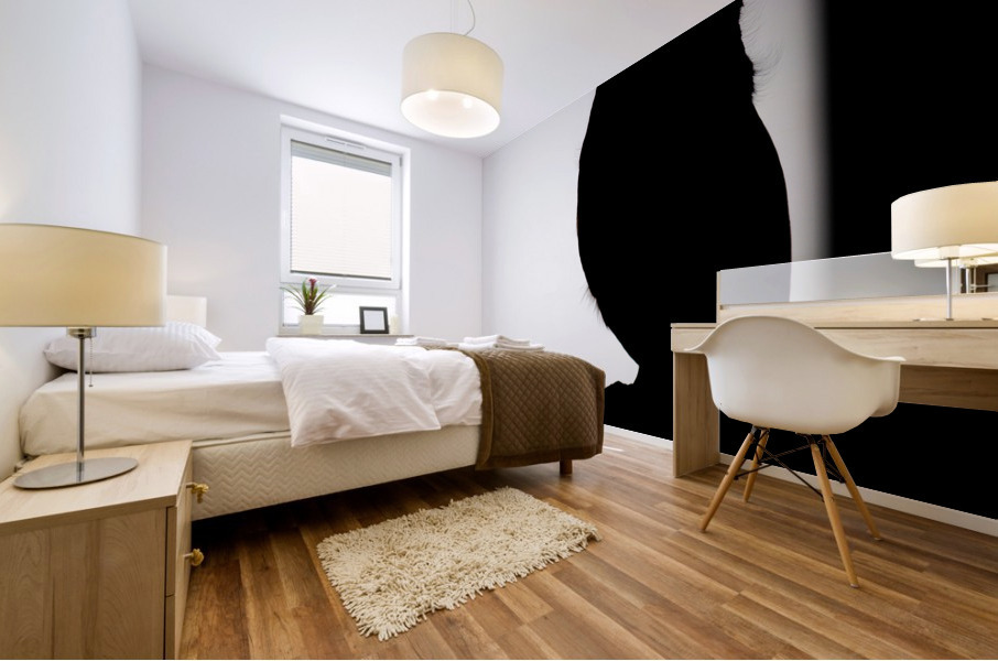 Black and White Screech Owl Silhouette  Mural print