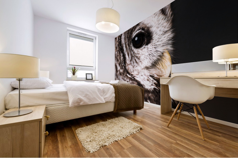 Profile View of a Barred Owl Mural print