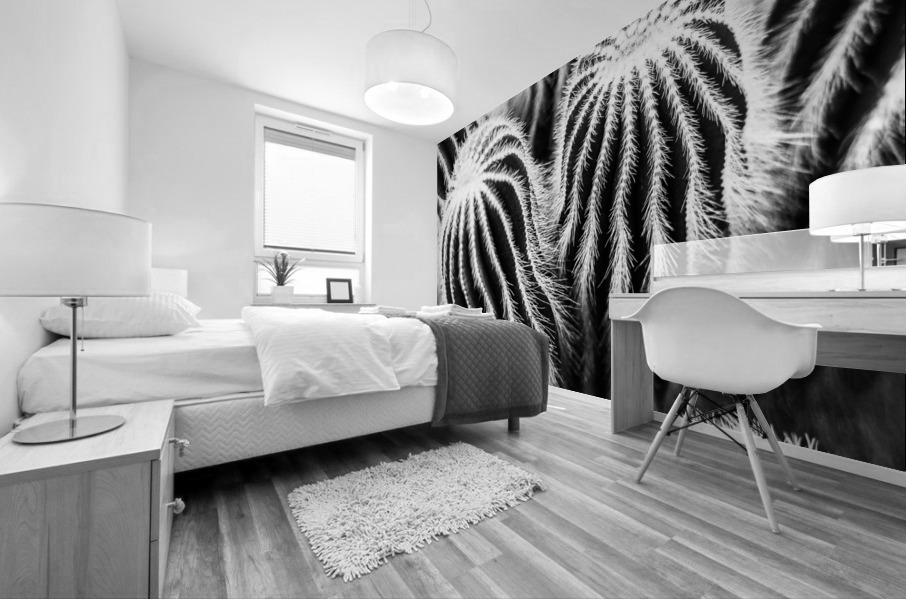 San Pedro Cactus Black and White Mural print