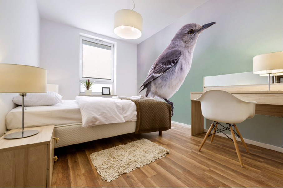 Mockingbird - The Texas State Bird Mural print