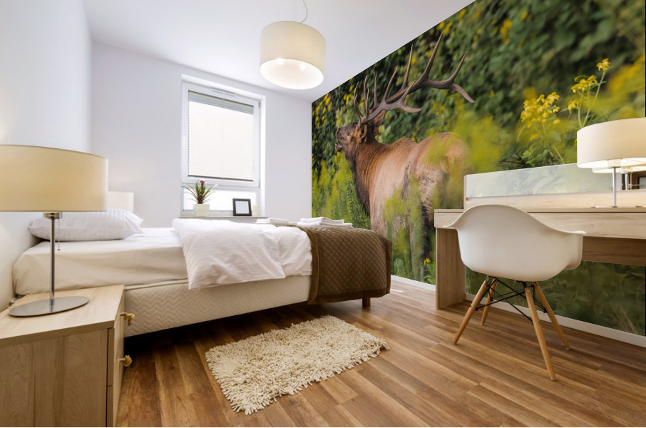 Adult Male Elk Mural print