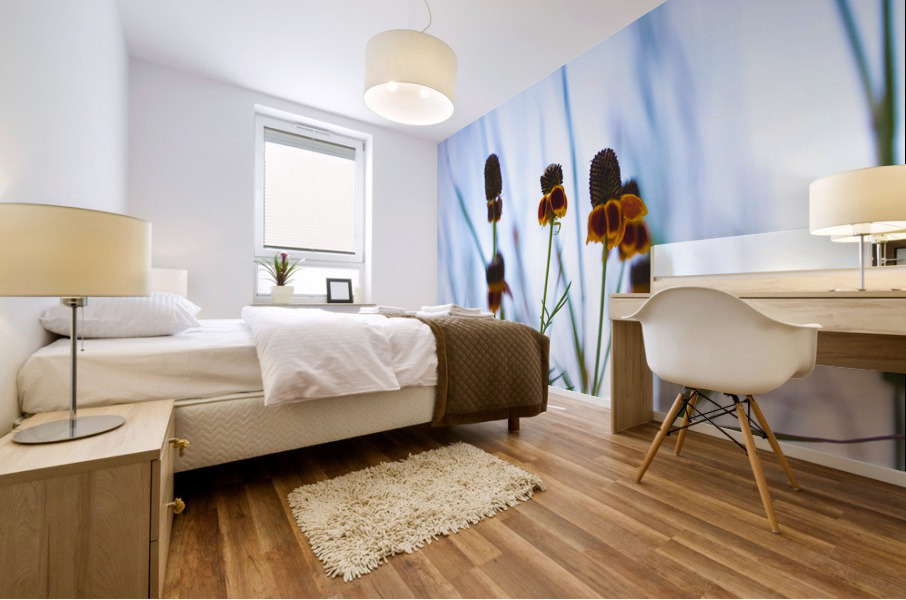 Mexican Hat Mural print