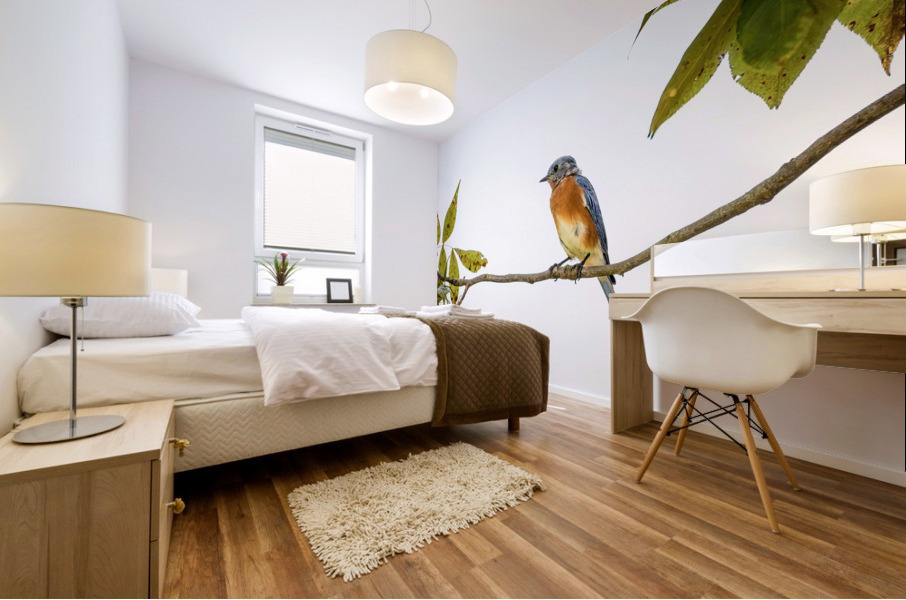 Perched Blue Bird Mural print