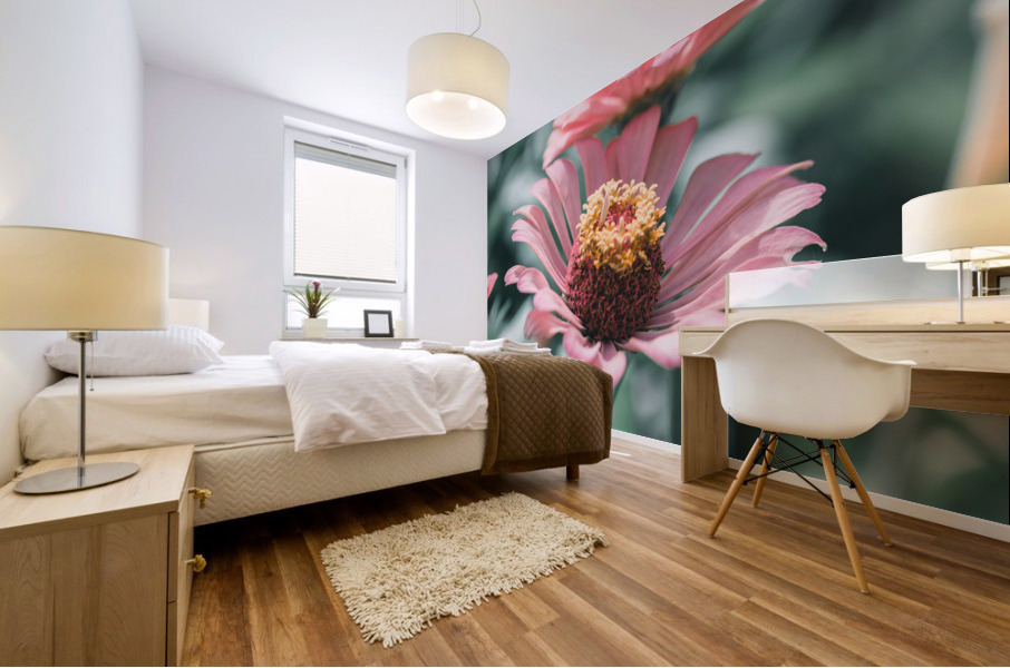 Common Zinnia Mural print