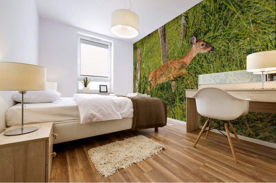 A baby dear passing under the fence Mural print