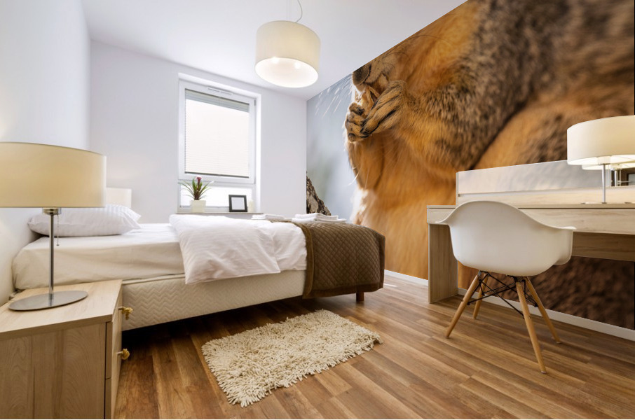 Squirrel Snacking on a Walnut Mural print