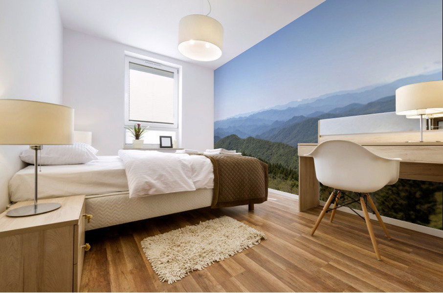 Panoramic View Of Blue Ridge Mountains Mural print