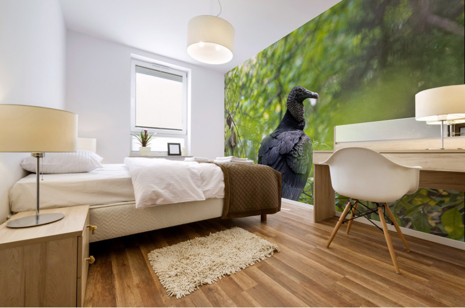 Turkey Vulture Perched In A Tree Mural print