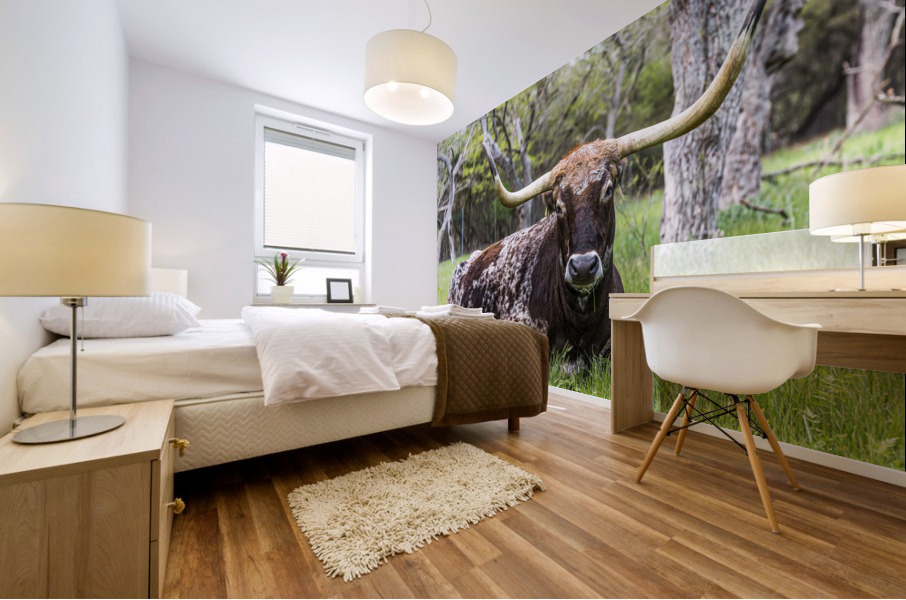 Texas Longhorn Mural print