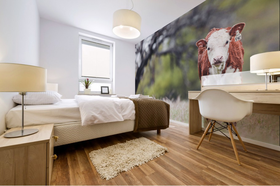 Calf in a field Mural print