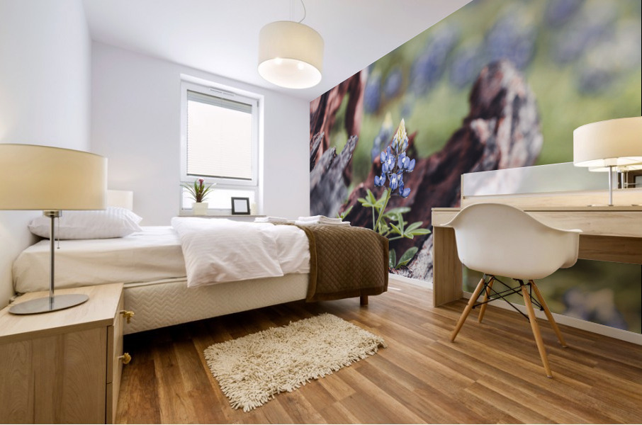 Driftwood Frames A Bluebonnet Mural print