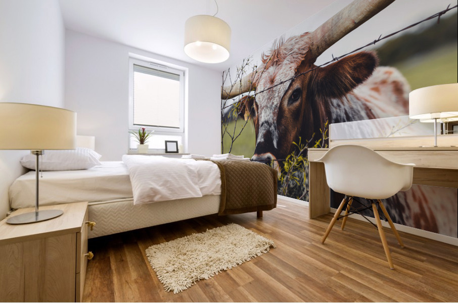 Longhorn in a Pasture Mural print