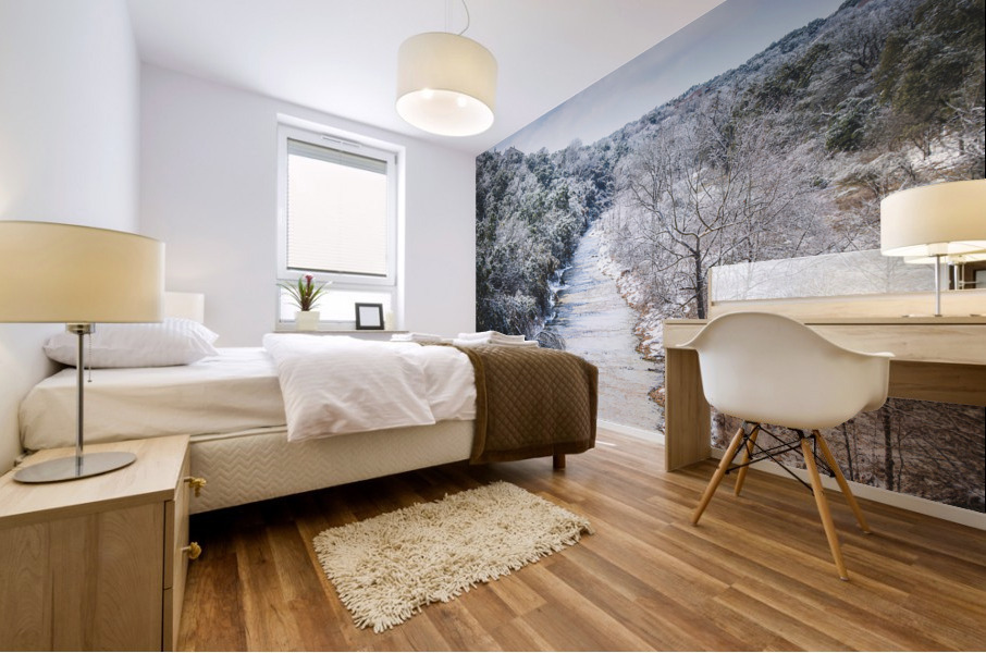 Scenic Landscape In Georgetown Mural print