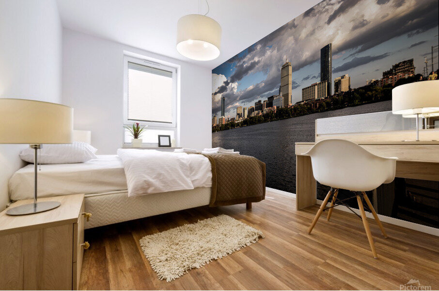 Boston Greige  Mural print