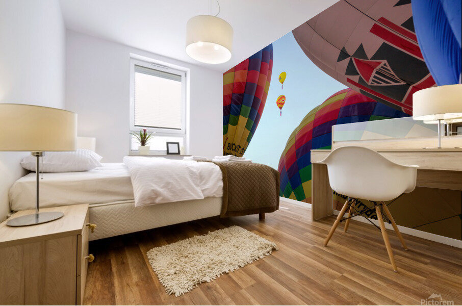 Balloon of the Day Mural print
