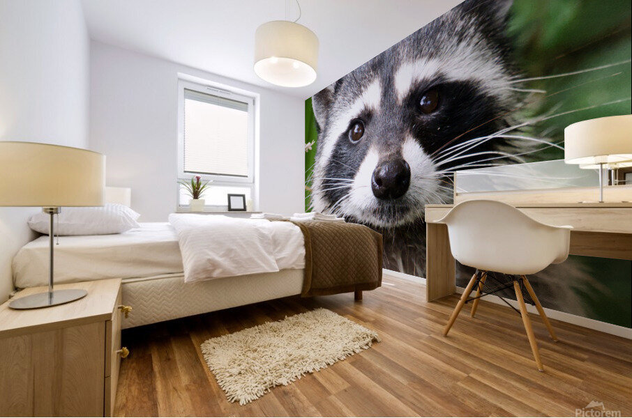 Rocky Mural print
