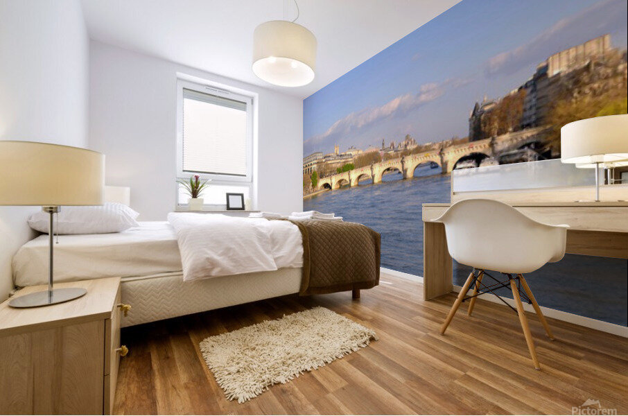 Pont Neuf Mural print