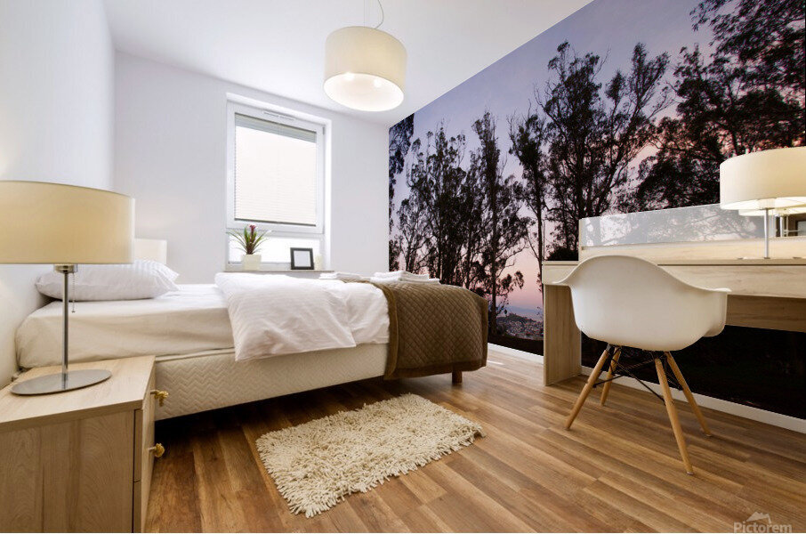 Sunset at Tank Hill I Mural print