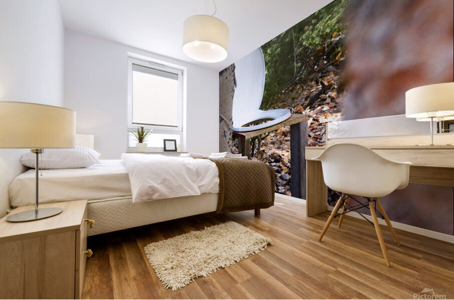 Rustic Toilet 2 Mural print