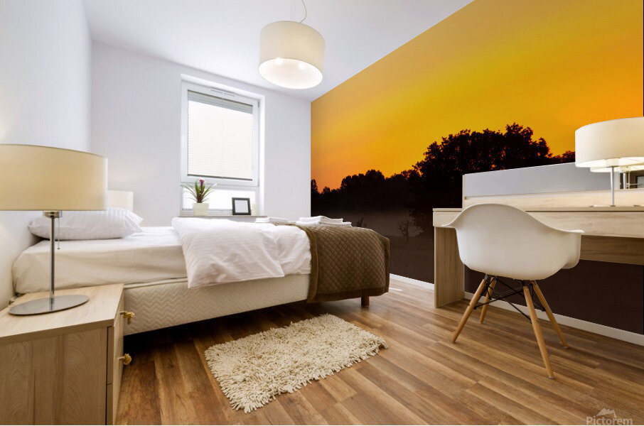 Grassland Sunrise 3 Mural print