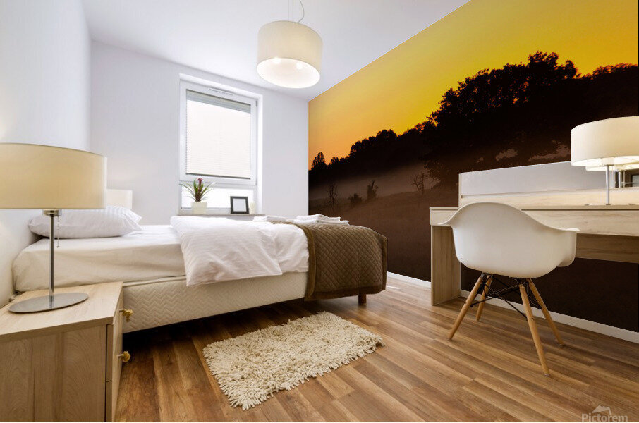 Grassland Sunrise 1 Mural print