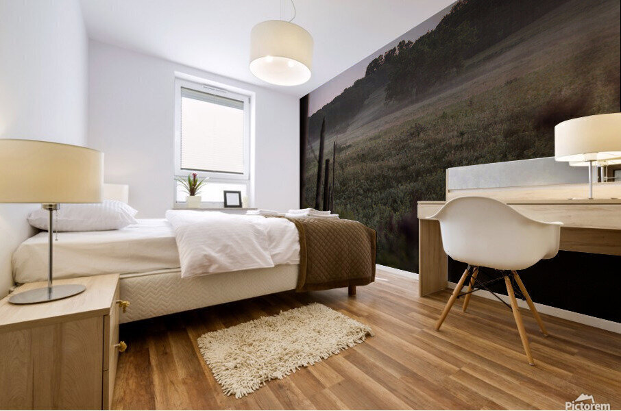 Foggy Fenceline Mural print