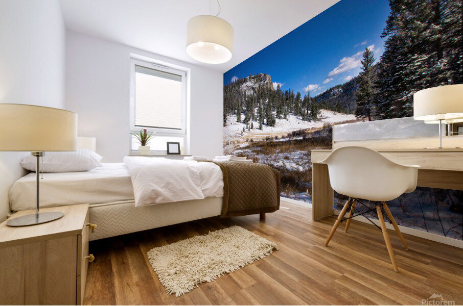 Snow Mountain Mural print