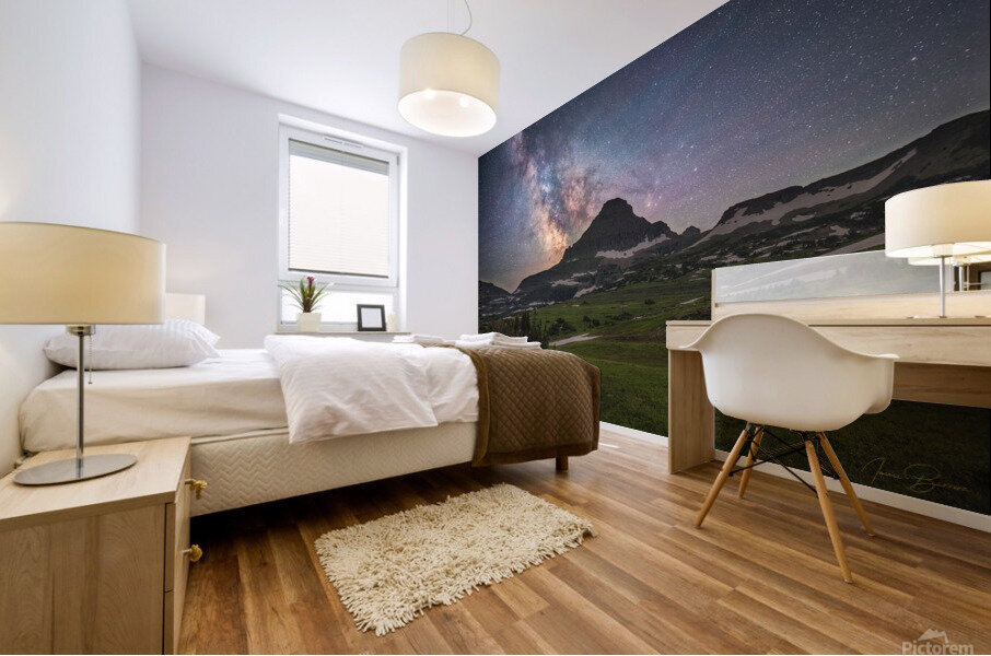 Logan Pass LO Mural print