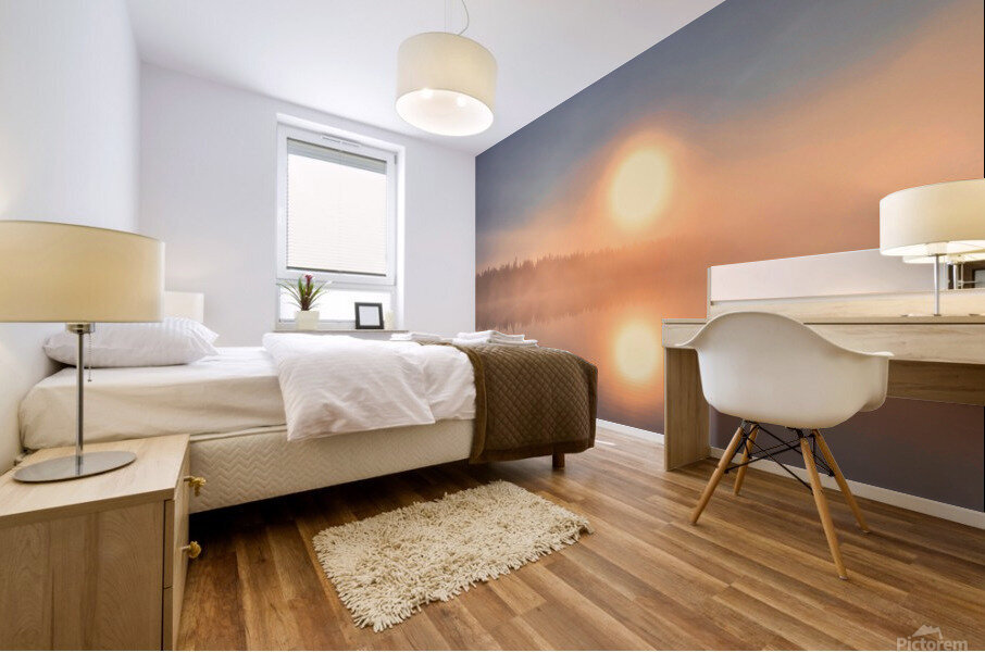 Double Sun Mural print