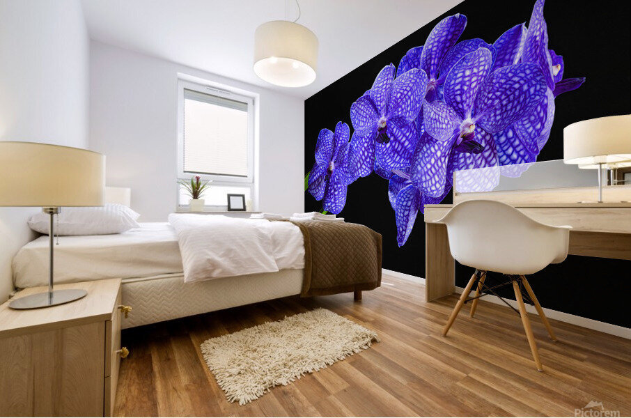Dramatic Orchids Mural print