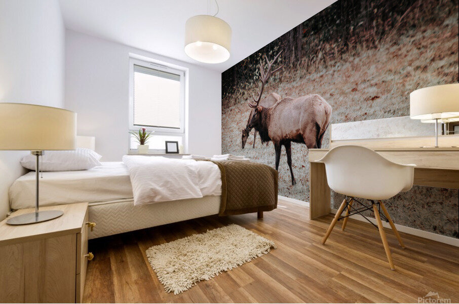 E60A8154 5406 4B68 8874 98C4A4E5B47C Mural print