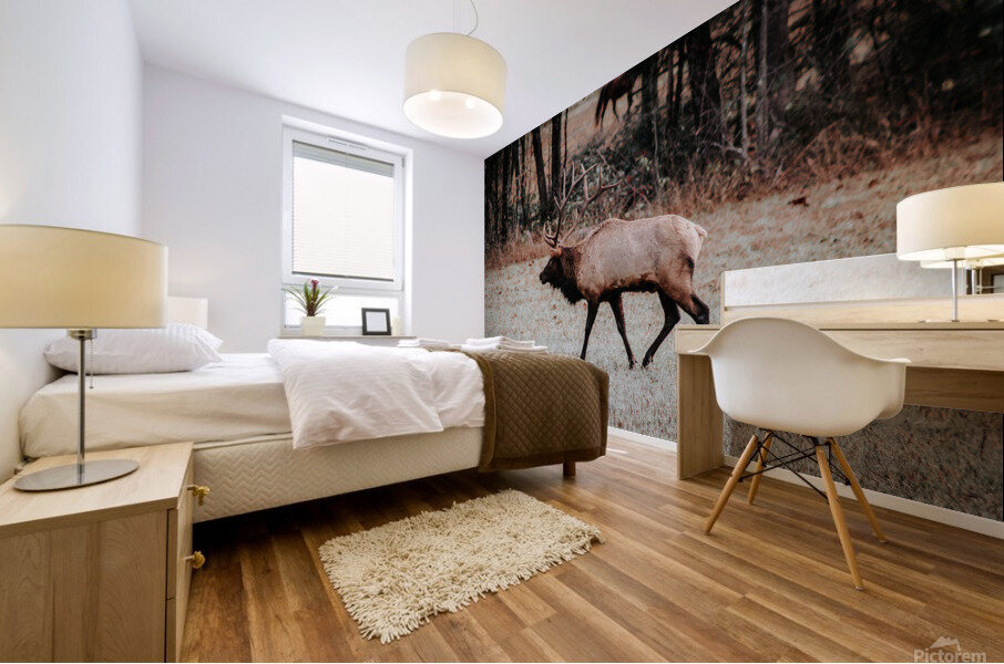 Elk Mural print
